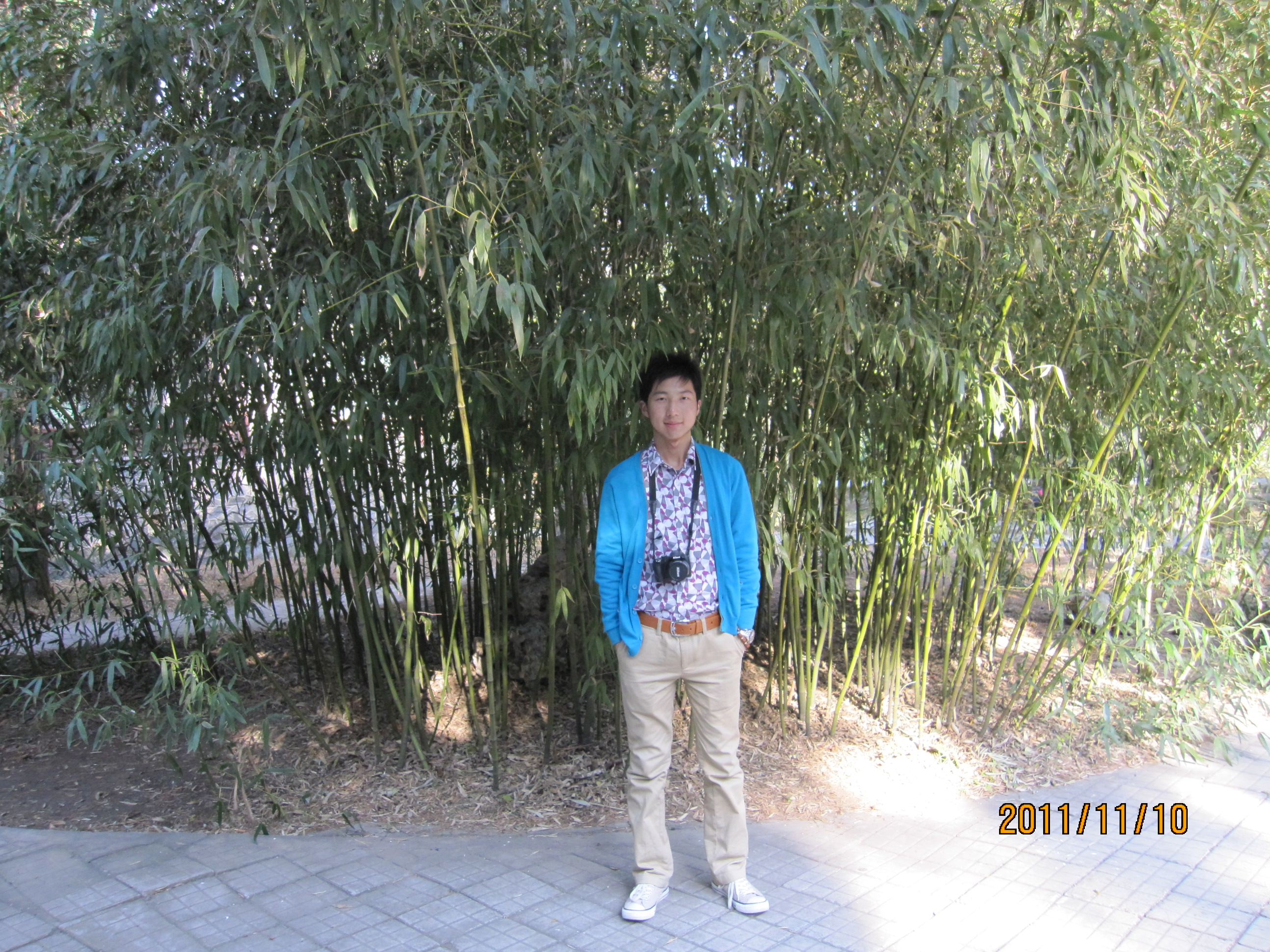 李晓磊 真爱网