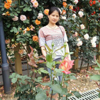 枫林网8drama陆剧