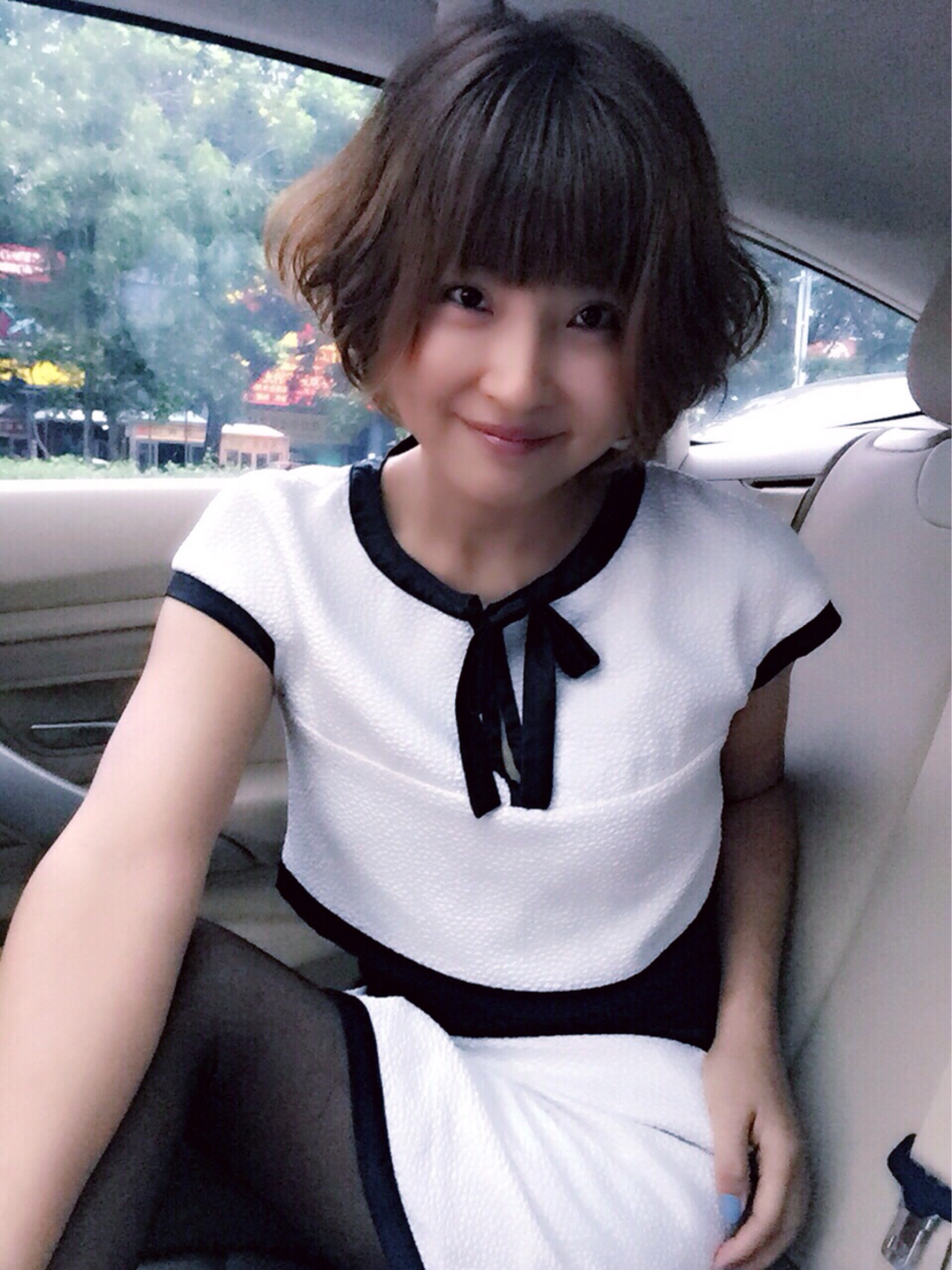 小羊照片