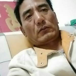 鸵鸟