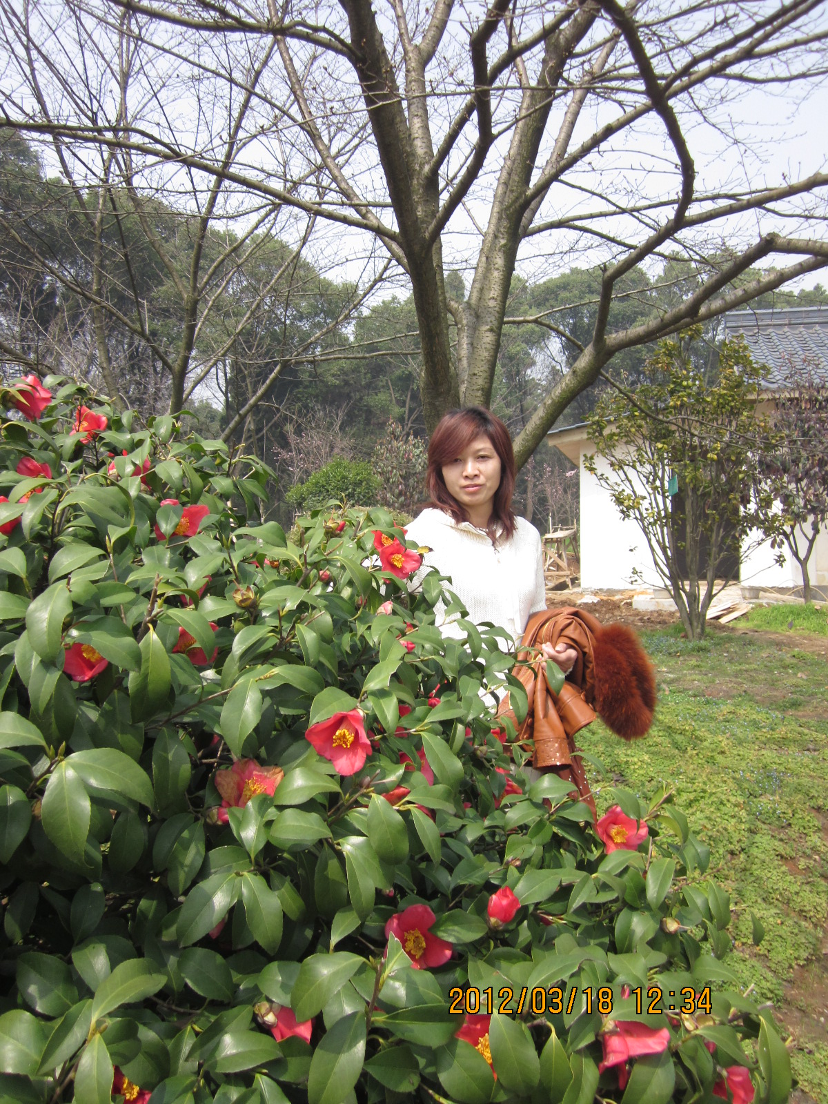 梅子资料照片_湖北武汉征婚交友_珍爱网